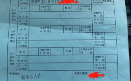 3亲子鉴定费用,不同类型鉴定价格解析