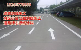 车位线,车位线检测技术在智能泊车系统中的应用与优化