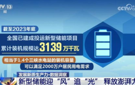新型储能产业发展步伐加快,技术革新推动产业腾飞
