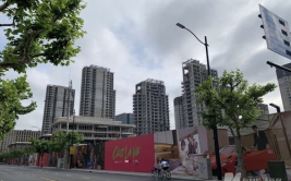 上海新盘,总价300万以下楼盘精选与市场动态