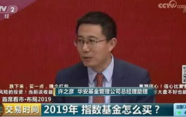 华安基金040008,稳健增长，策略优选的混合型基金解析