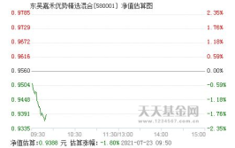 东吴嘉禾基金,稳健投资策略下的价值增长之路