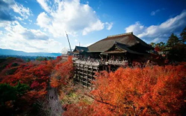 日本旅游攻略,古都风情与现代魅力的完美融合