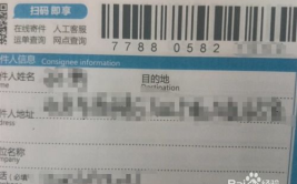 中通快递单号查询口,全方位掌握物流动态，轻松追踪包裹动态”