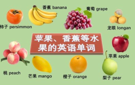 英语水果教学视频发音软件有哪些,精选英语水果教学视频与发音软件推荐