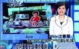 台湾新闻直播,引发岛内热议