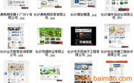 湖南长沙网站建设,打造高效、创新、可持续发展的网络平台