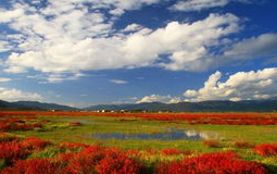 香格里拉旅游攻略,探寻高原秘境，感受藏族风情