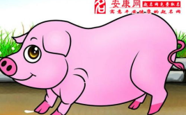 九十岁属猪2024年运势,稳中求进，乐享晚年