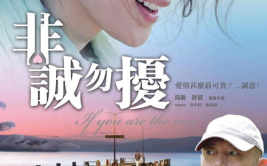 非诚勿扰电影1,爱情与幽默交织的相亲喜剧之旅