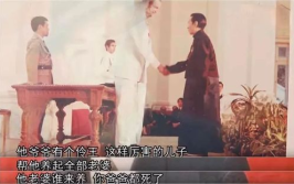 娱乐香港风流,风流岁月里的璀璨星光
