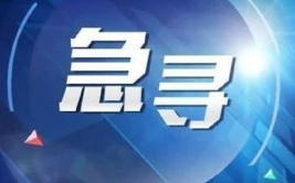 紧急提醒!此地已发现输入病例,登革热疫情需警惕！