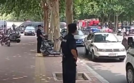 石家庄事件,从爆炸案到宠物虐杀，社会安全与道德底线再敲警钟