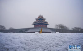 北京降雪,北京城区罕见春雪，市民欢庆这场突如其来的雪景”