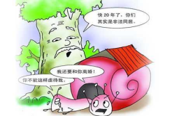 事实婚姻的提法是什么法律依据,基于民法典事实婚姻认定标准的法律解读