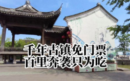 鸣鹤古镇去不去啊,鸣鹤古镇邀您共赴江南水乡之旅